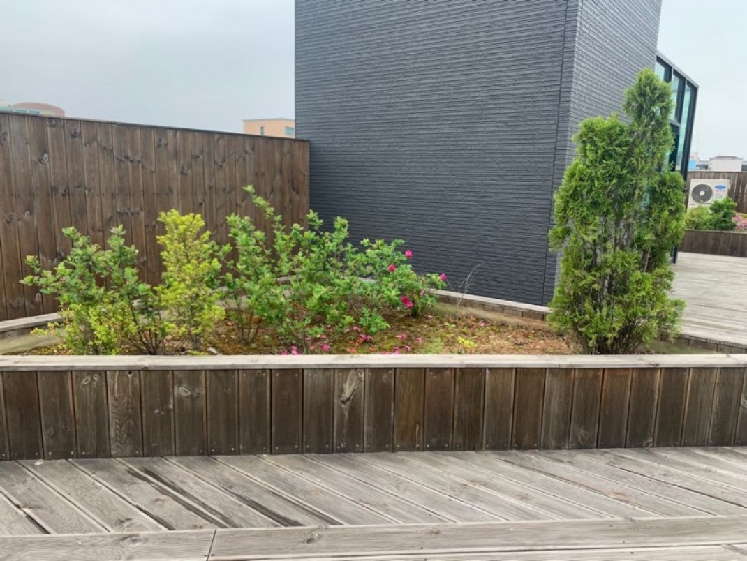 19bcff10cf19316f5417673027772067_1589621