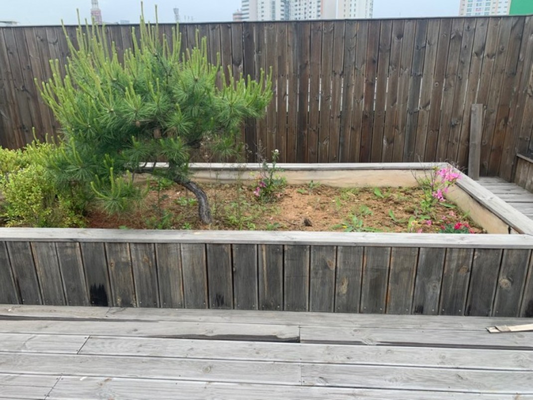 19bcff10cf19316f5417673027772067_1589621