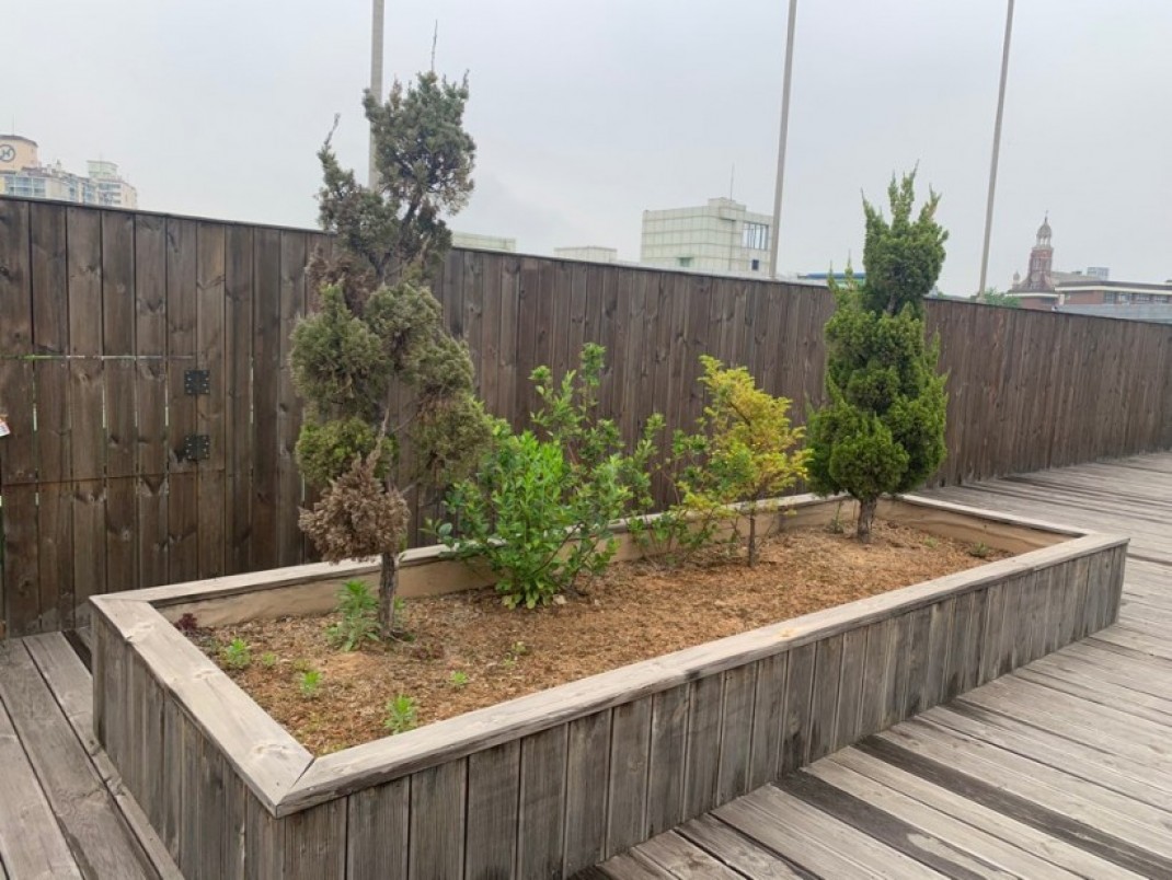 19bcff10cf19316f5417673027772067_1589621