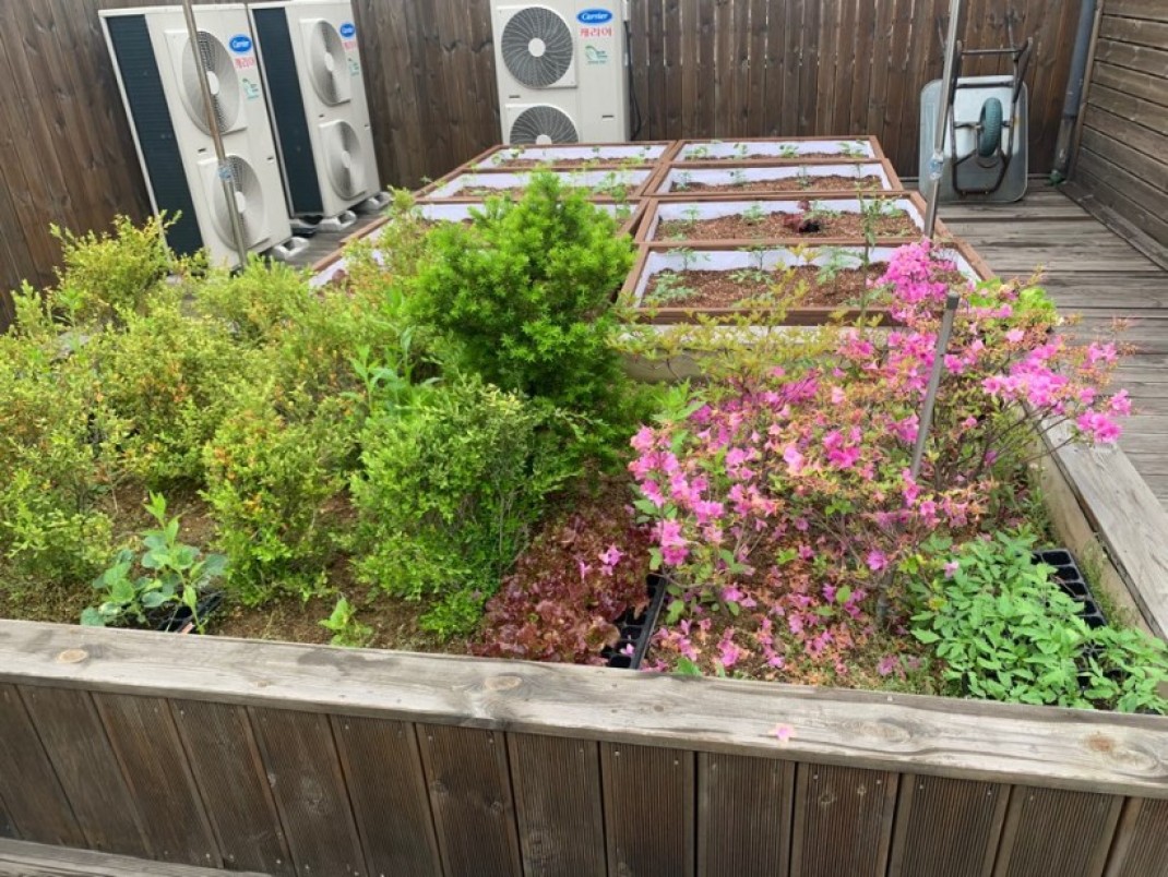 19bcff10cf19316f5417673027772067_1589621